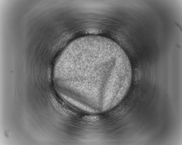 X0000102520639200808291758