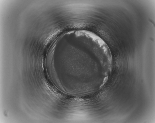 X0000102520640200808291758