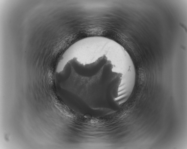 X0000102520641200808291758