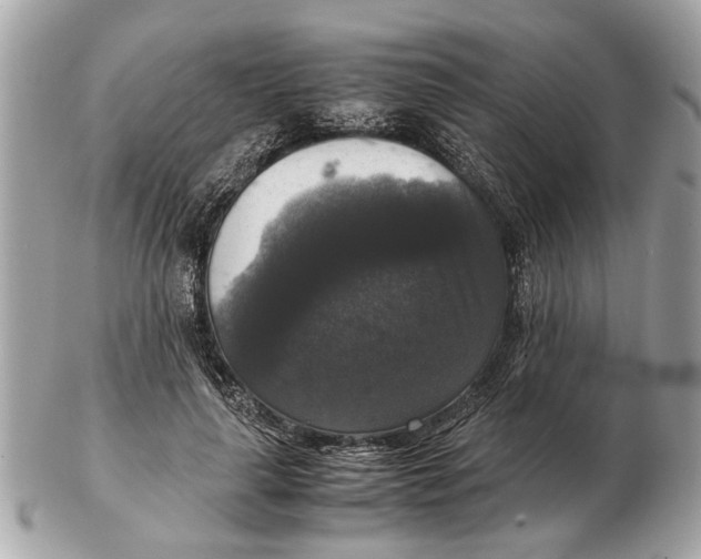 X0000102520643200808291758