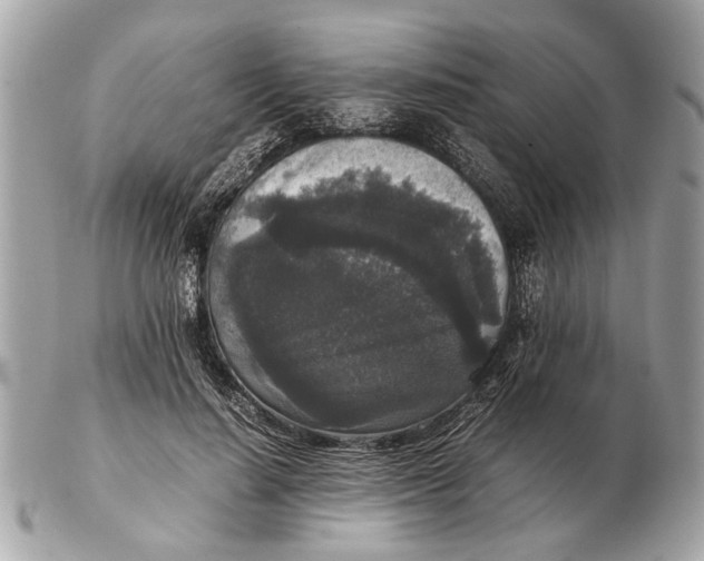 X0000102520644200808291758