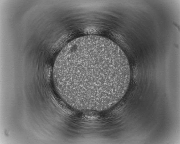 X0000102520645200808291758