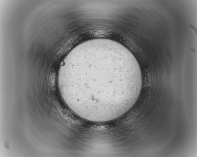 X0000102520646200808291758