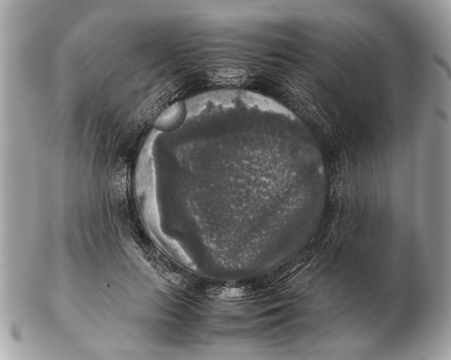 X0000102520647200808291758