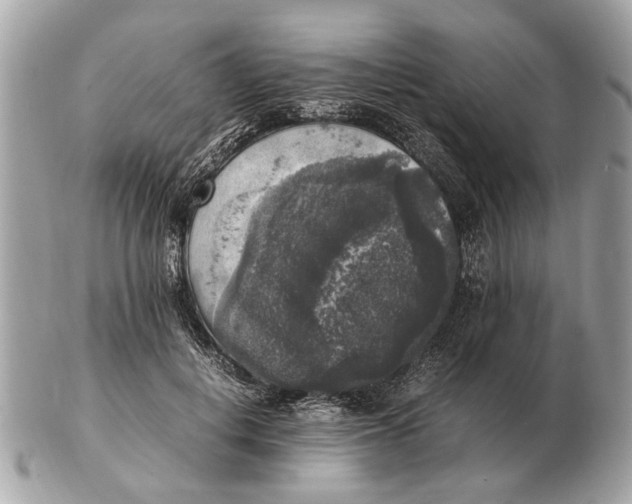 X0000102520648200808291758