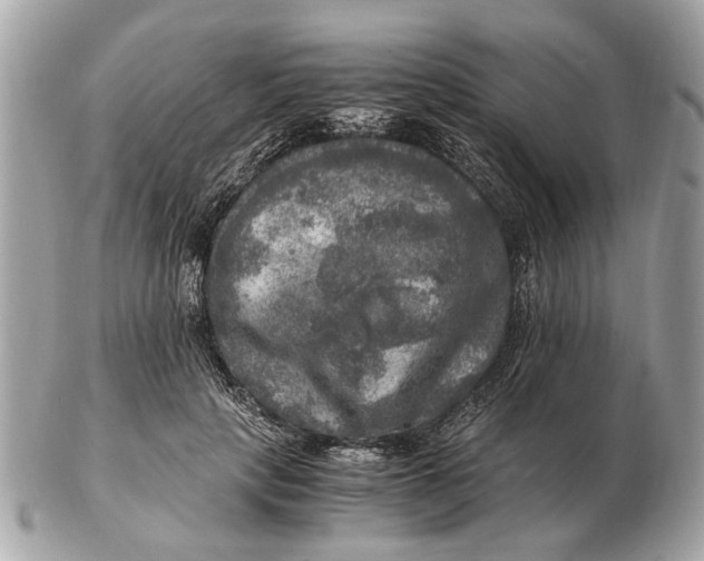 X0000102520649200808291758