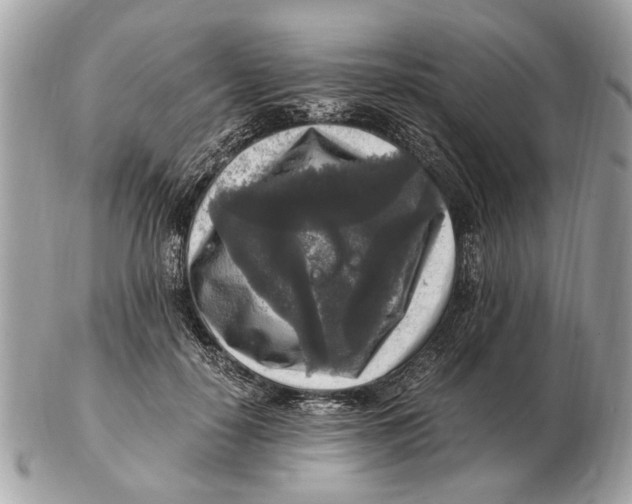 X0000102520650200808291758