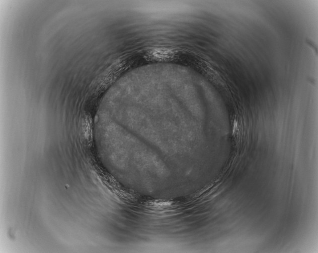 X0000102520651200808291758