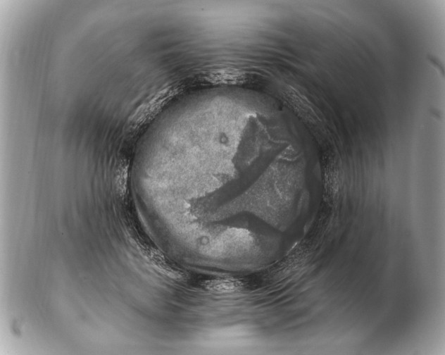 X0000102520652200808291758