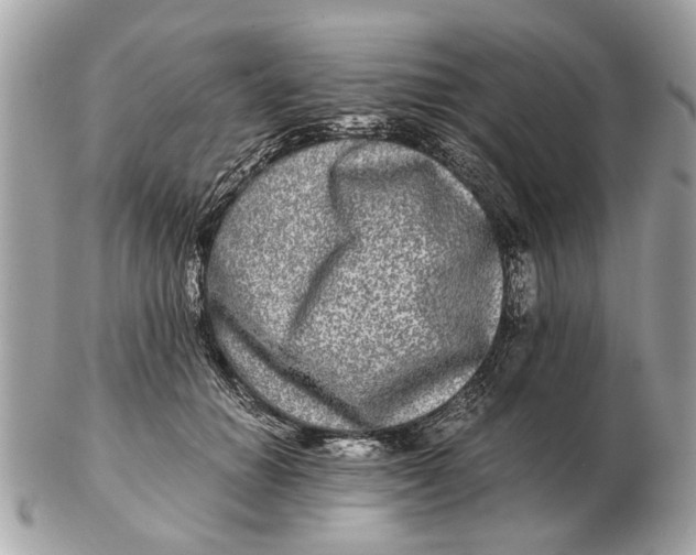 X0000102520654200808291758