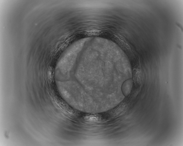 X0000102520655200808291758