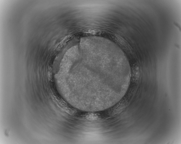 X0000102520656200808291758