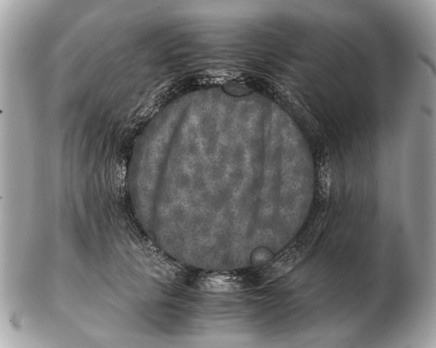 X0000102520657200808291758