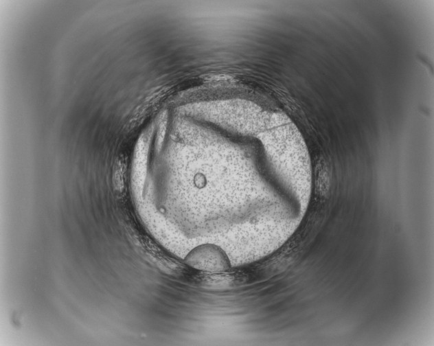 X0000102520658200808291758