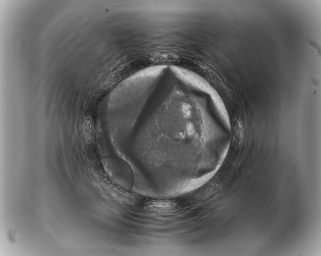 X0000102520659200808291758