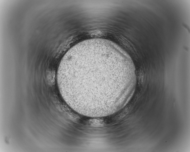 X0000102520660200808291758