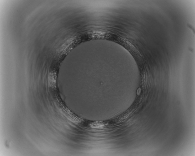 X0000102520661200808291758