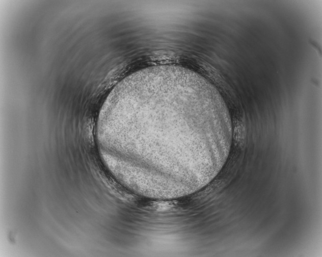 X0000102520662200808291758