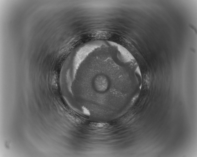 X0000102520663200808291758