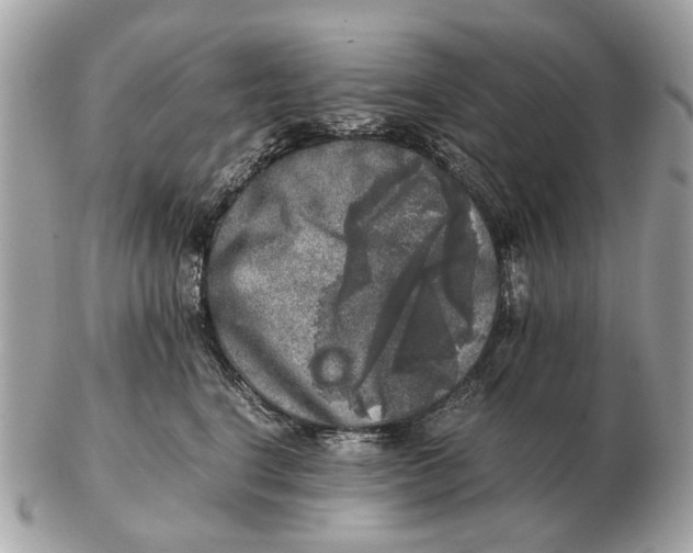 X0000102520664200808291758