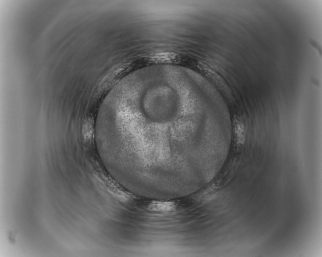 X0000102520665200808291758