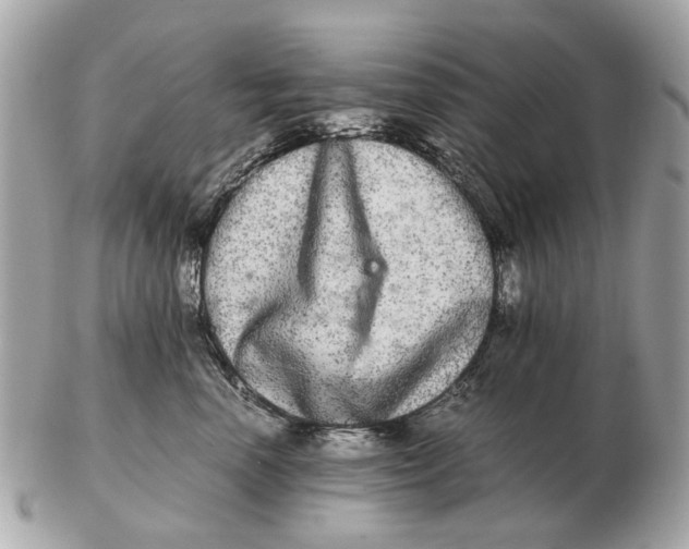 X0000102520666200808291758