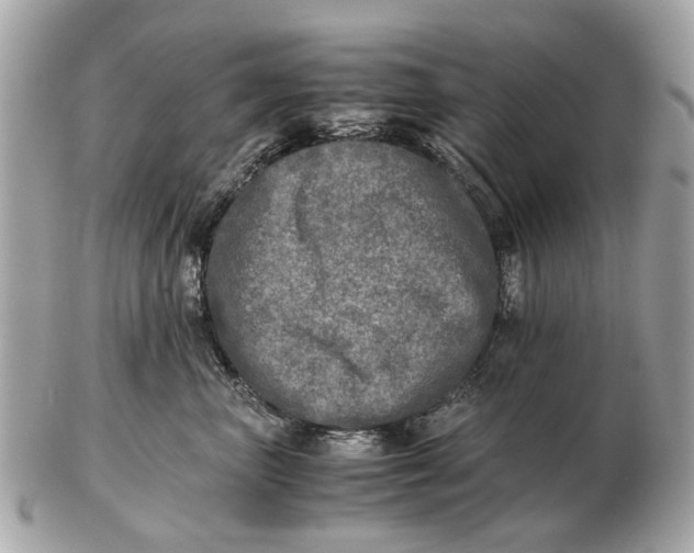 X0000102520667200808291758