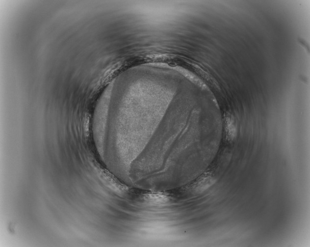 X0000102520668200808291758