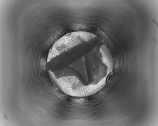 X0000102520669200808291758