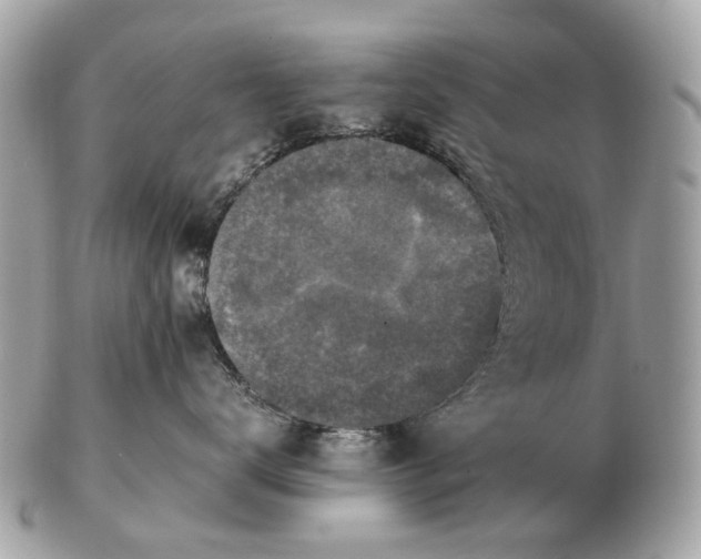 X0000102520672200808291758