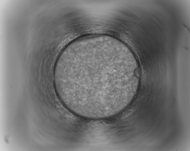 X0000102520673200808291757