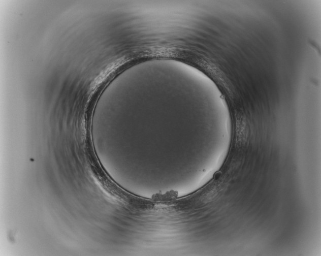 X0000102520674200808291757