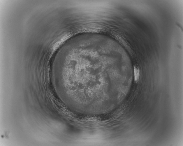 X0000102520675200808291757