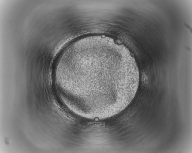 X0000102520676200808291757