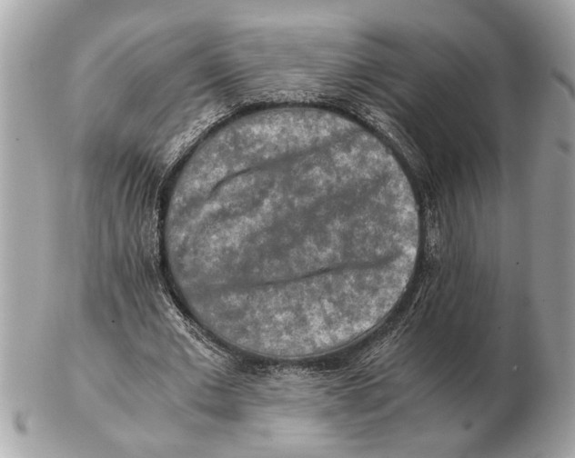 X0000102520677200808291757