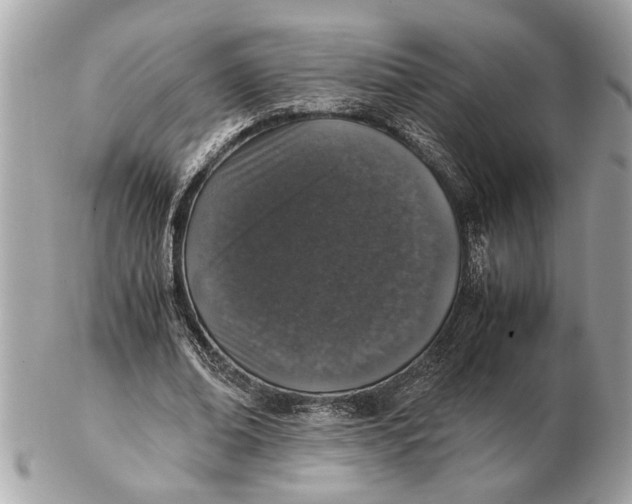 X0000102520678200808291757