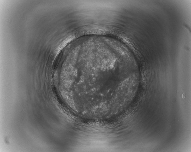 X0000102520679200808291757