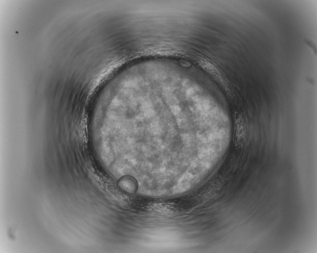 X0000102520680200808291757