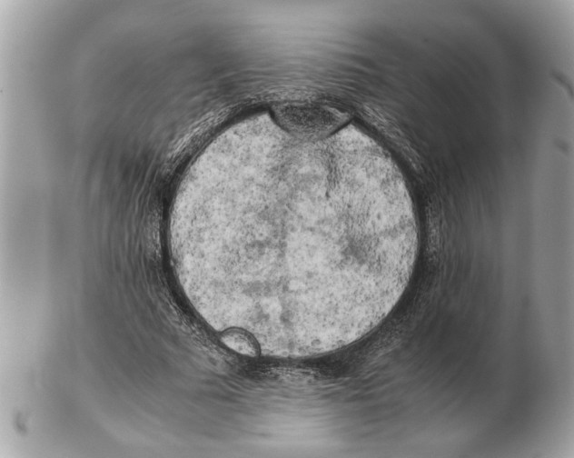 X0000102520681200808291757