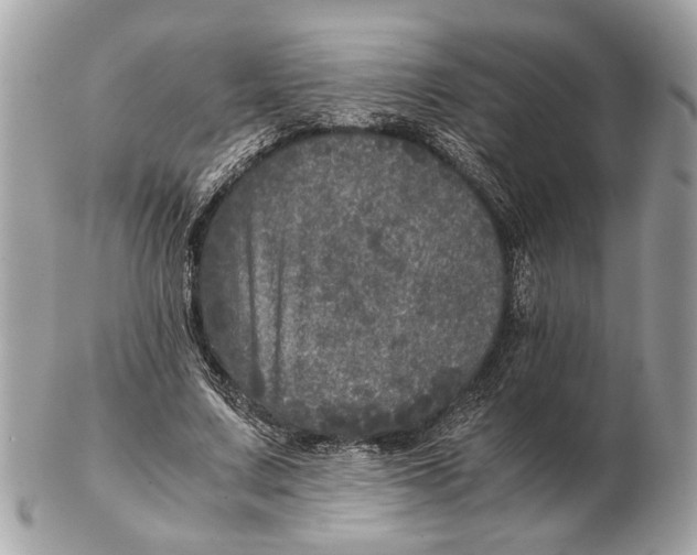 X0000102520683200808291757