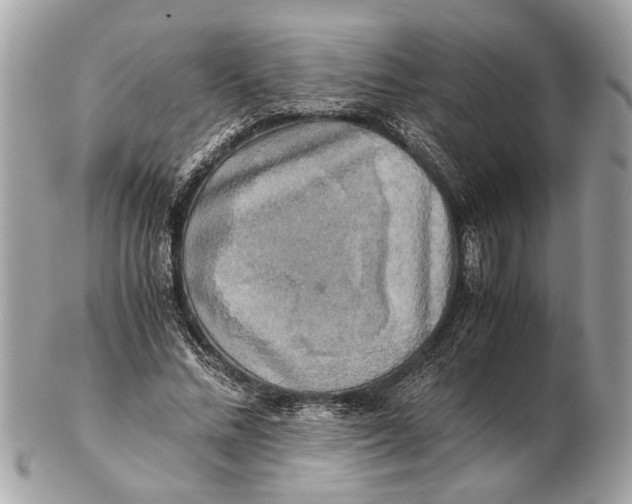 X0000102520684200808291757