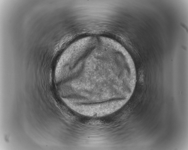 X0000102520685200808291757