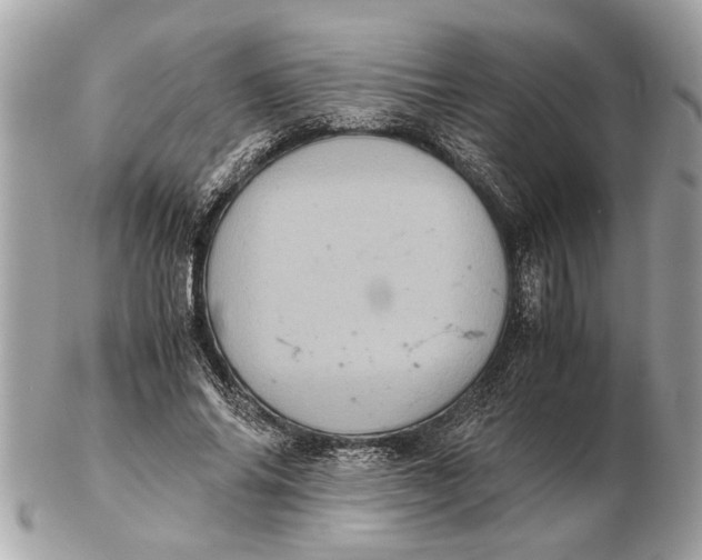 X0000102520686200808291757