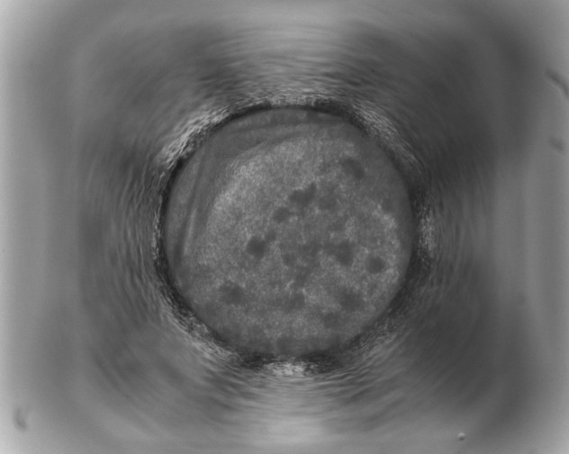 X0000102520687200808291757