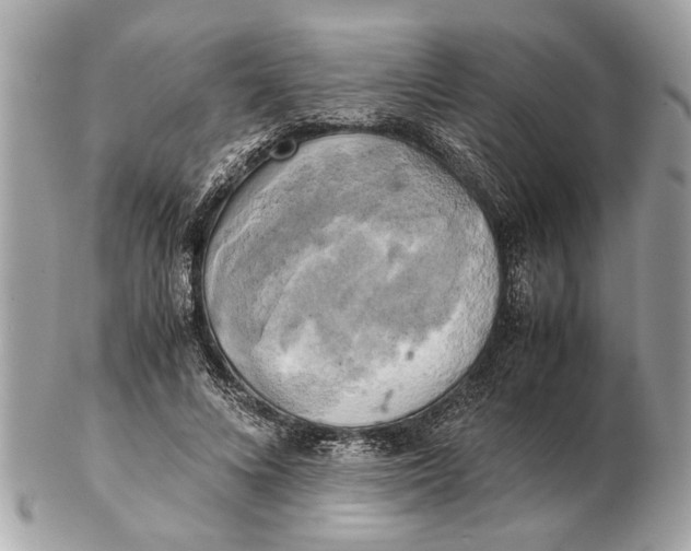 X0000102520688200808291757