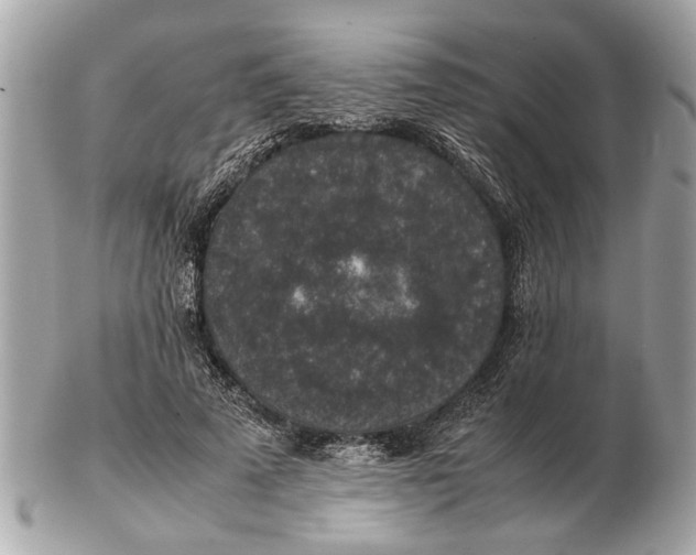 X0000102520689200808291757