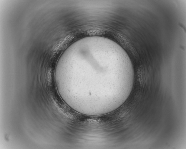 X0000102520690200808291757