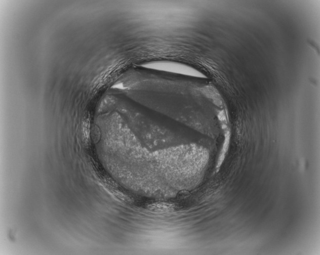 X0000102520691200808291757