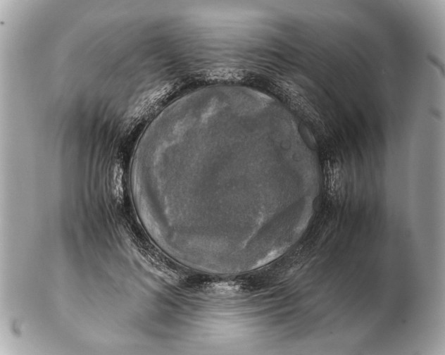 X0000102520692200808291757