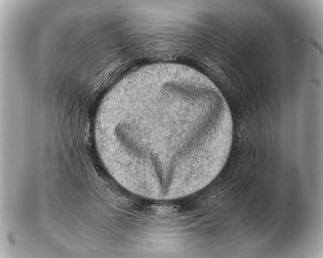 X0000102520693200808291757